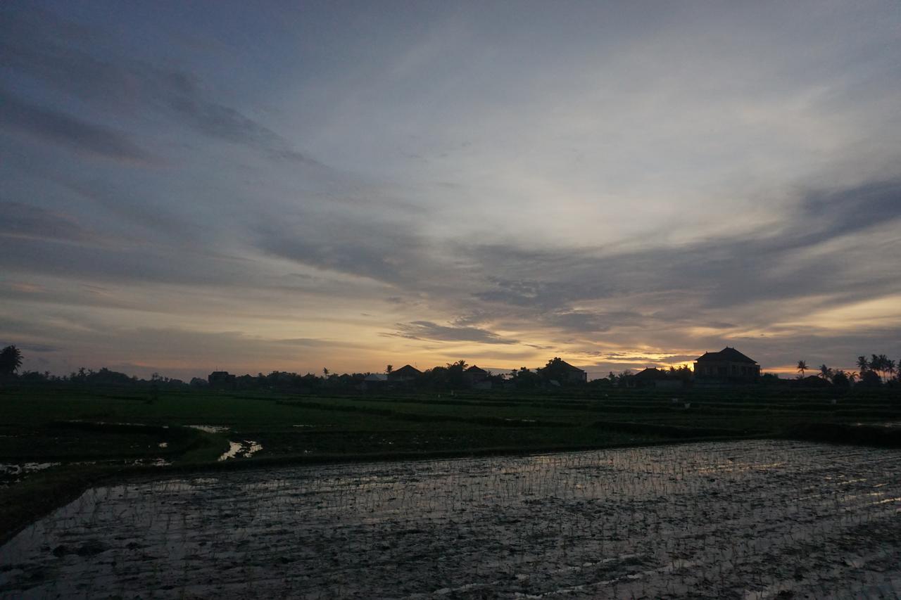 Pondok Uma Ubud Экстерьер фото